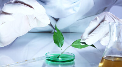 Tuscopharm img