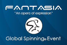 Fispin small