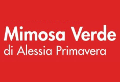 Mimosa verde